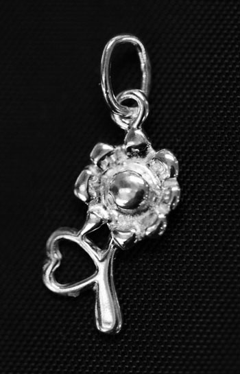 Silver Jewelry > SS Charms & Pendants > Nature